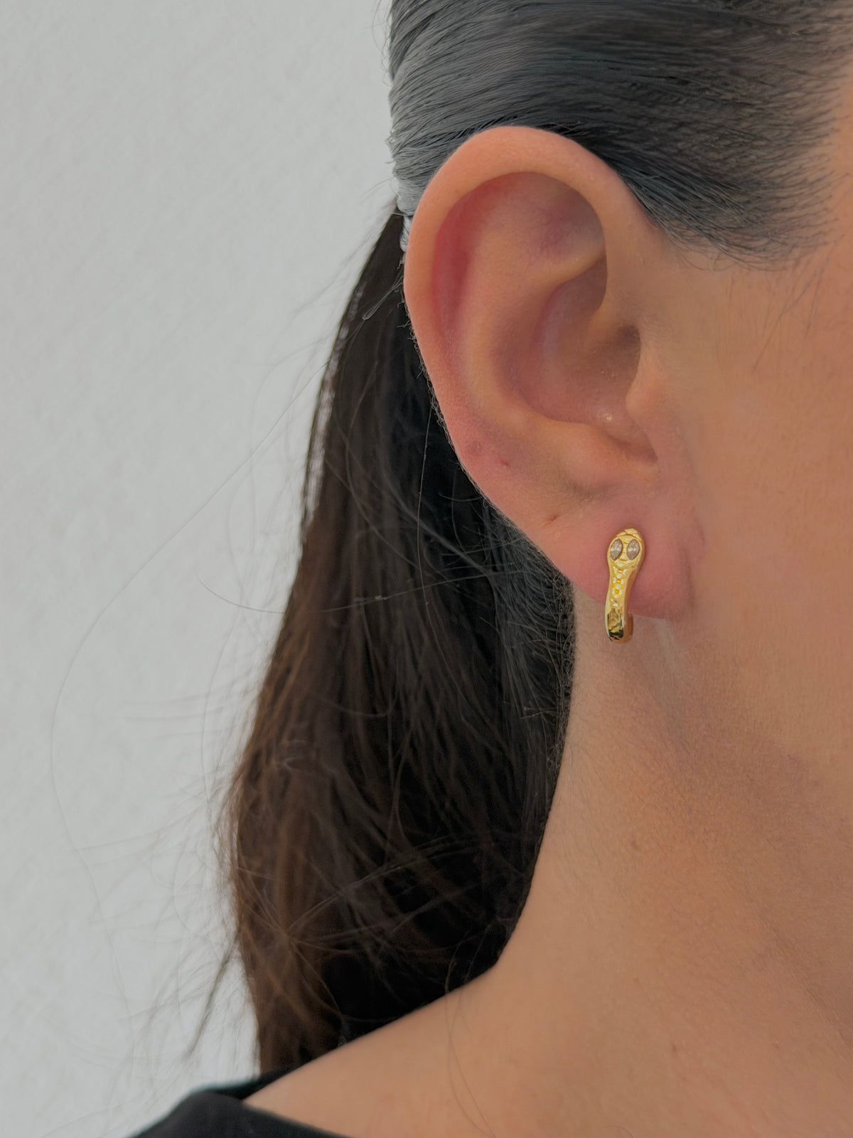 Aretes Nake