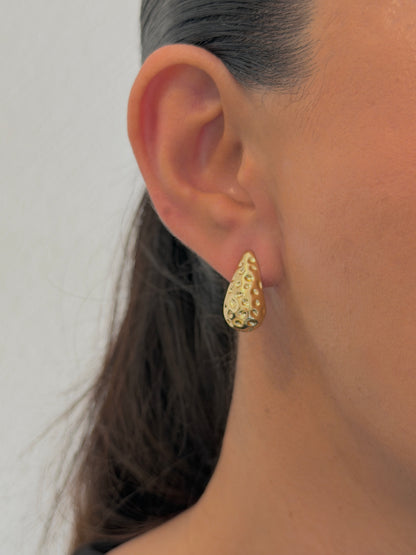 Aretes Berri