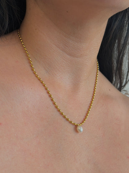 Collar Muins