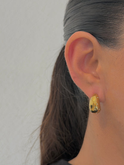 Aretes Vivi