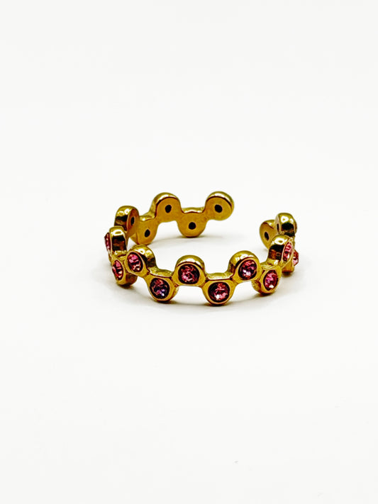 Anillo Phete