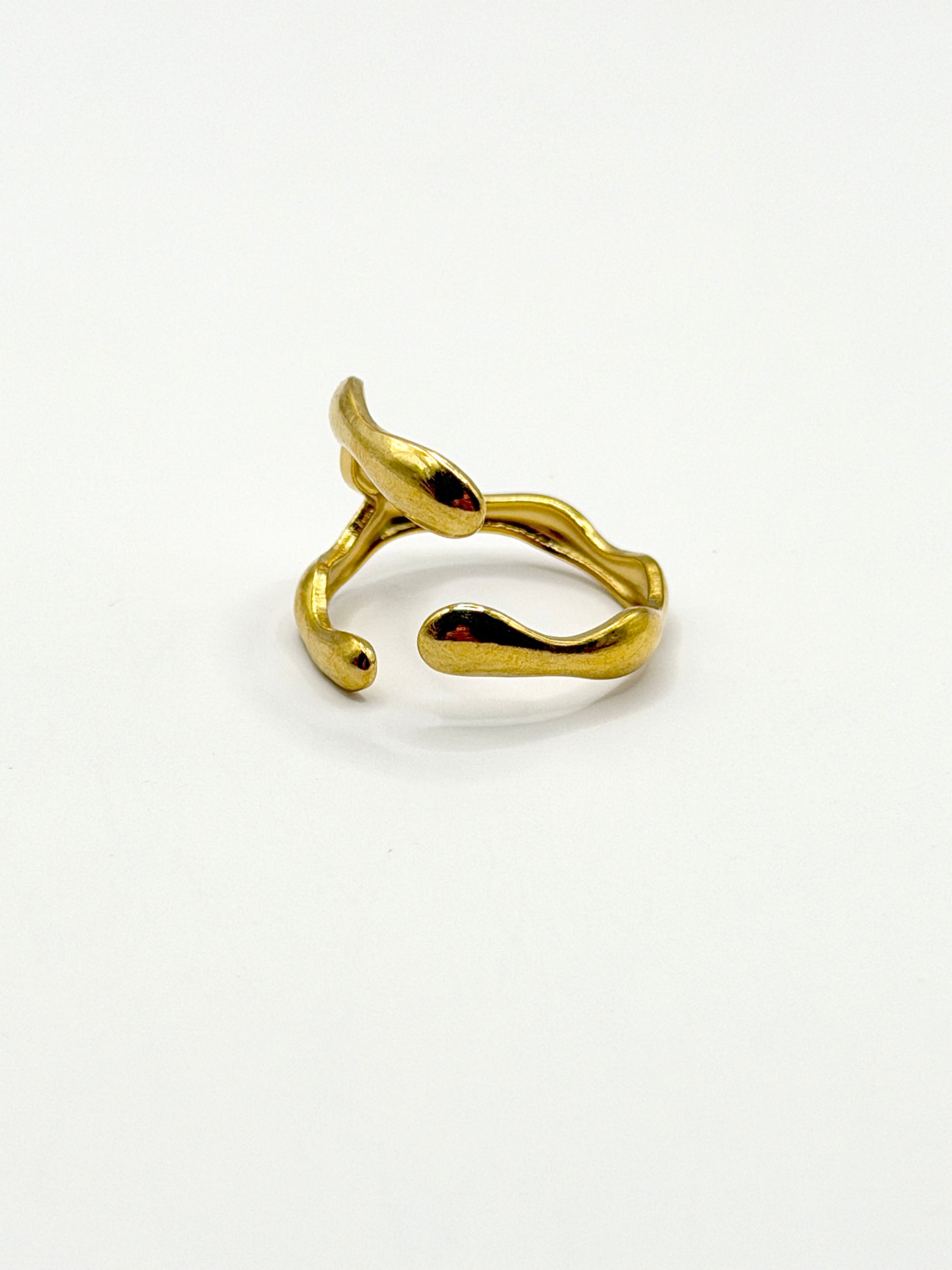 Anillo Claw