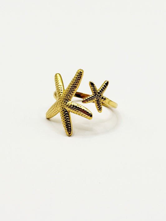 Anillo Seatar