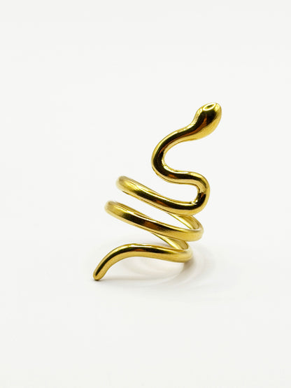 Anillo Pentiser