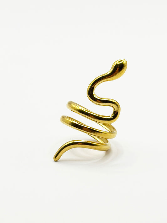 Anillo Pentiser