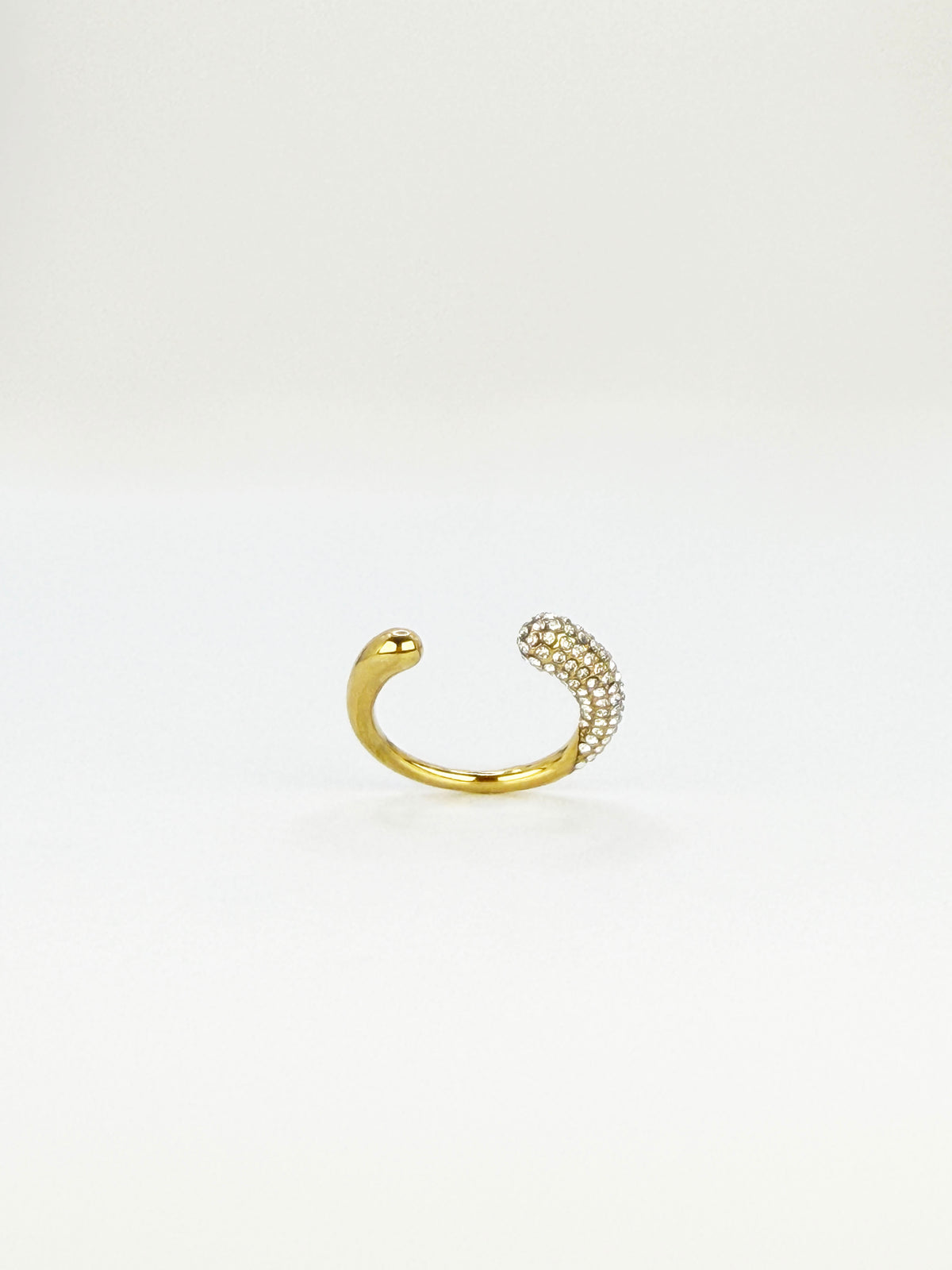Anillo Ginna