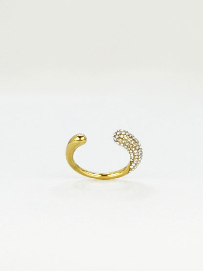 Anillo Ginna