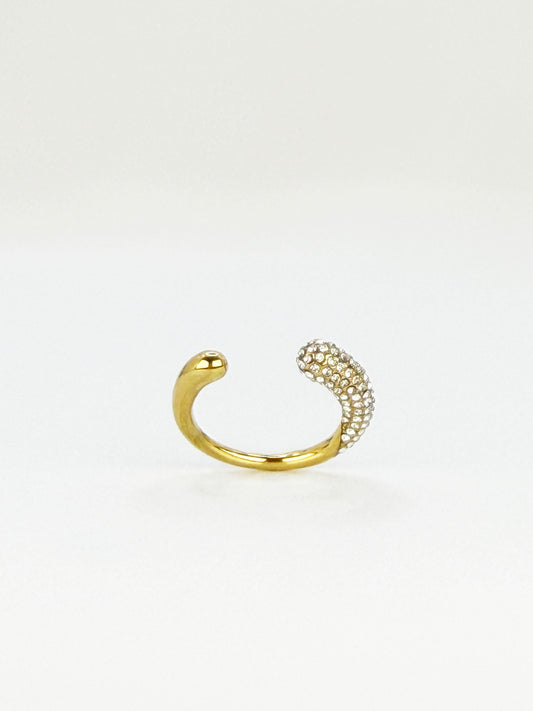 Anillo Ginna