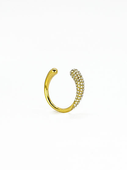 Anillo Ginna