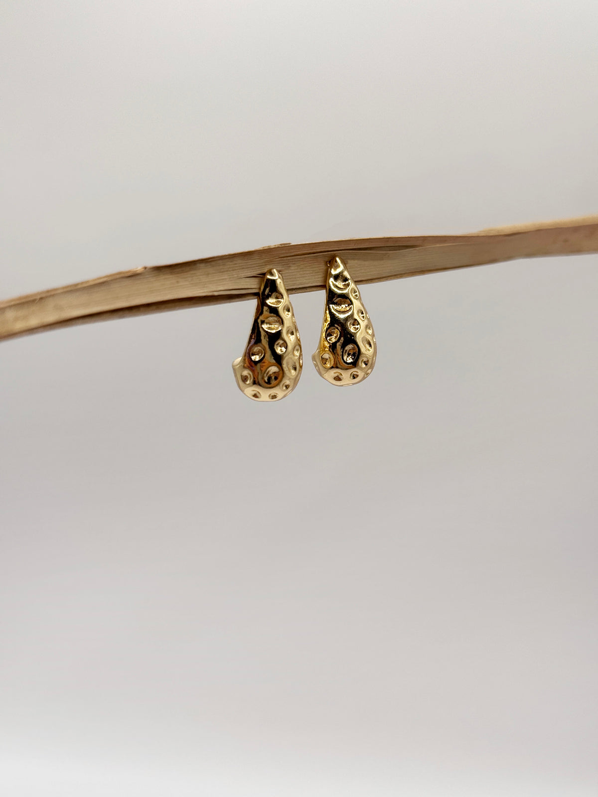 Aretes Berri