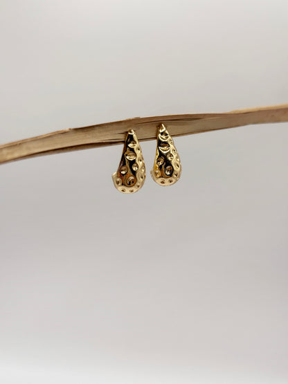 Aretes Berri