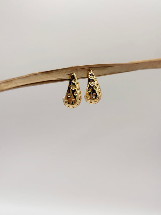 Aretes Berri