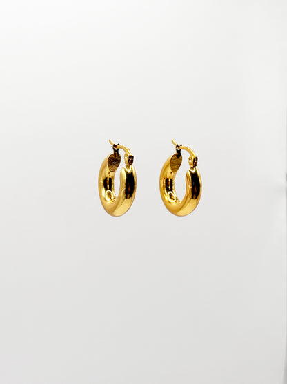 Aretes Mina