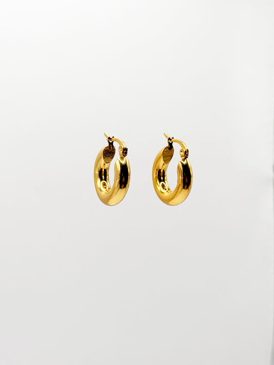 Aretes Mina