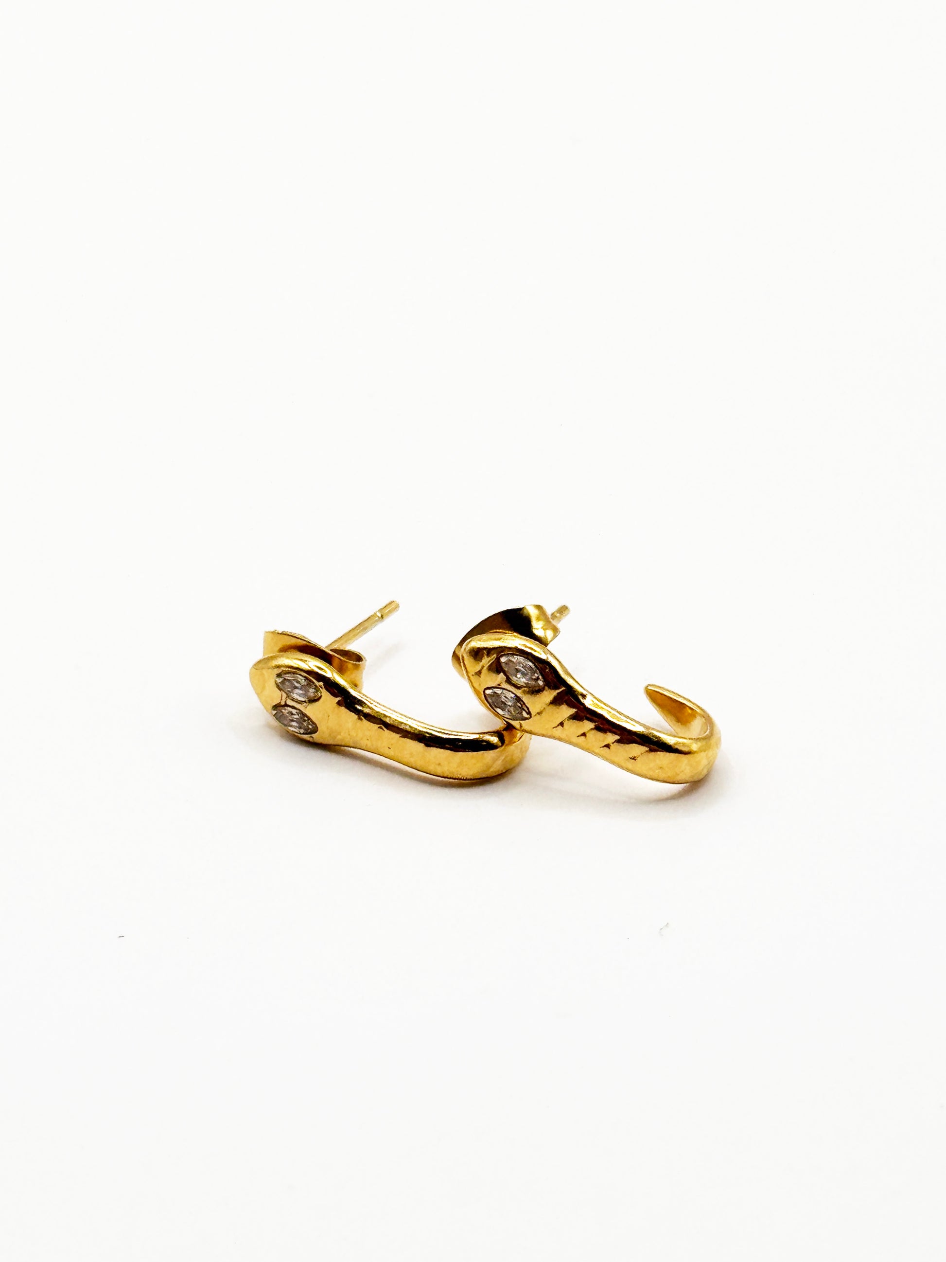 Aretes Nake