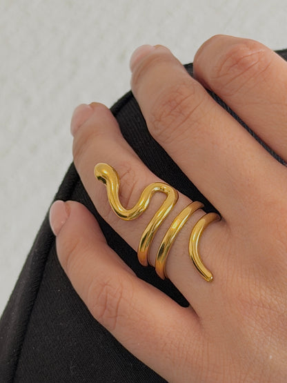 Anillo Pentiser