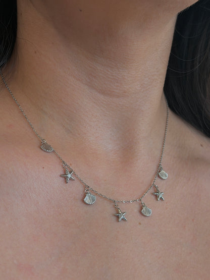 Collar Beash