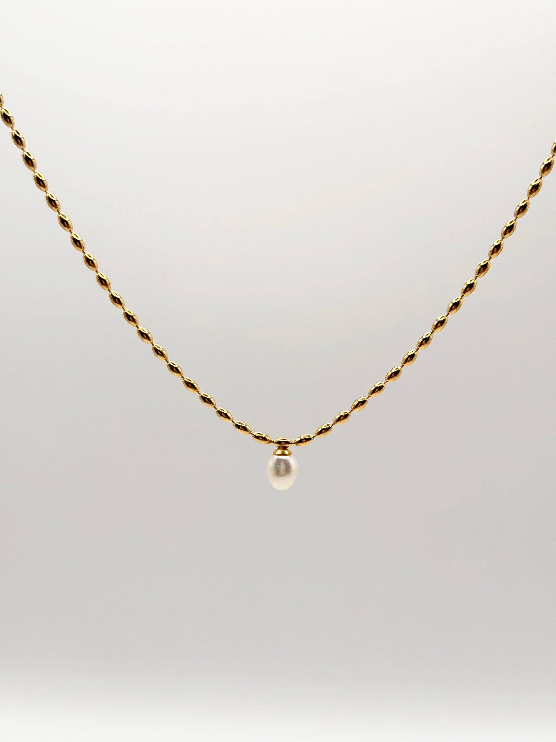 Collar Muins