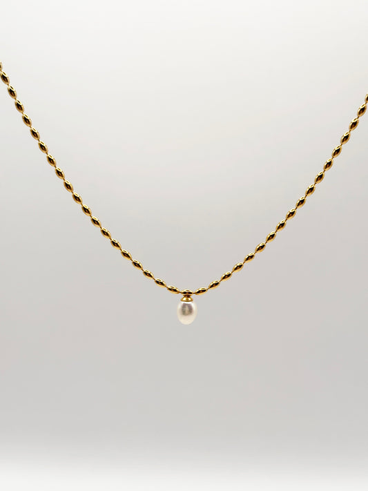 Collar Muins